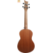 Ivan's UT-10 tenor ukulele